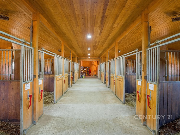 Prodej komerční nemovitosti 1 100 m² - foto 6