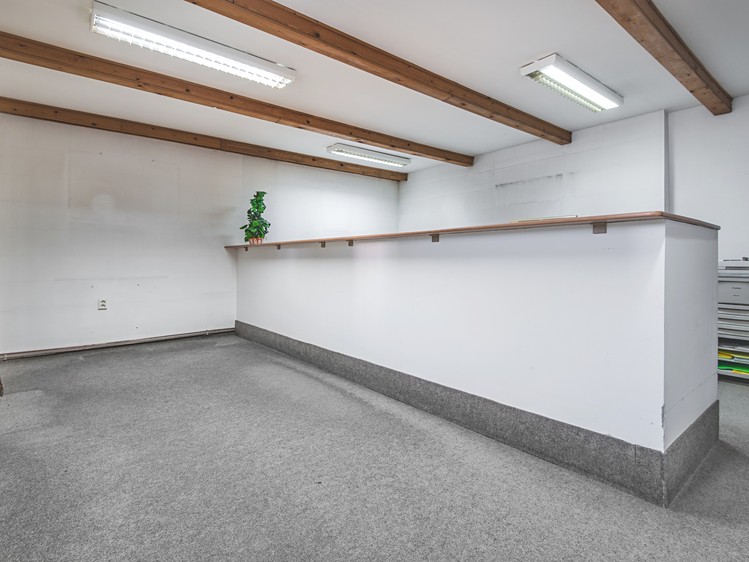 Prodej obchodního prostoru 340 m² - foto 8