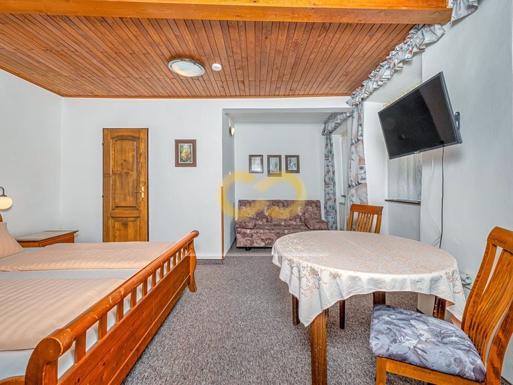 Prodej ubytovacího zařízení 391 m² - foto 8