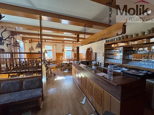 Prodej ubytovacího zařízení 1 753 m² - foto 8
