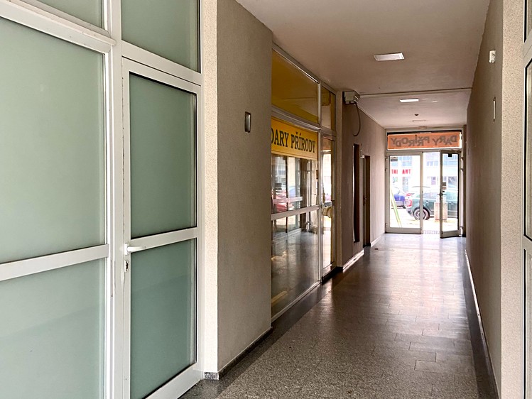 Prodej obchodního prostoru 246 m² - foto 4