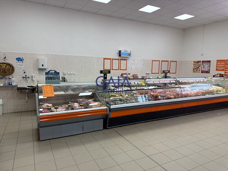 Prodej obchodního prostoru 600 m² - foto 4