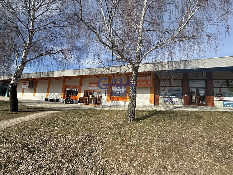 Prodej obchodního prostoru 600 m² - foto 1
