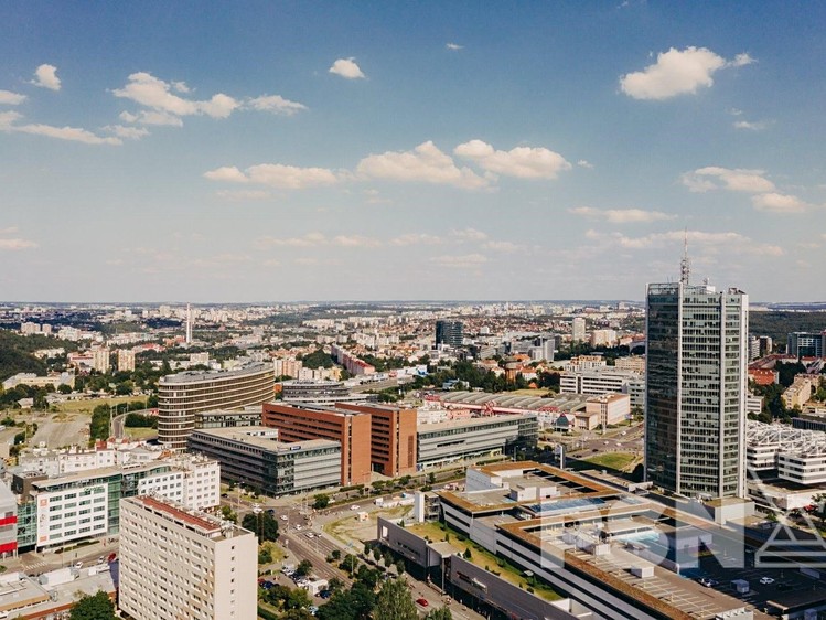 Pronájem kanceláře 554 m² - foto 4