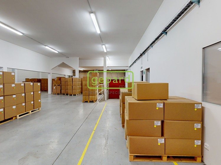 Pronájem obchodního prostoru 698 m² - foto 3