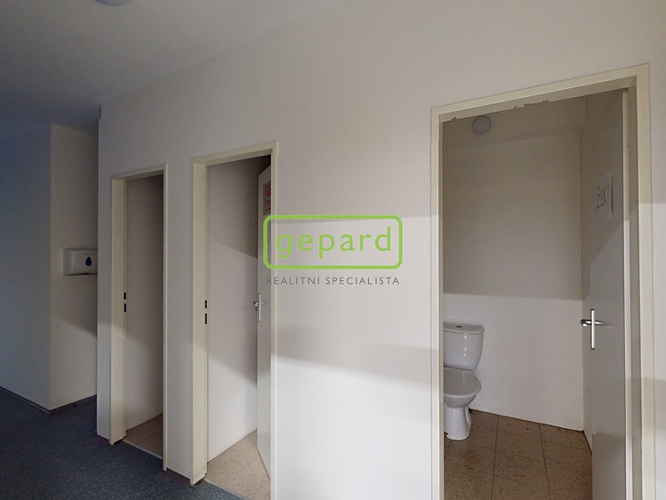 Pronájem obchodního prostoru 698 m² - foto 5