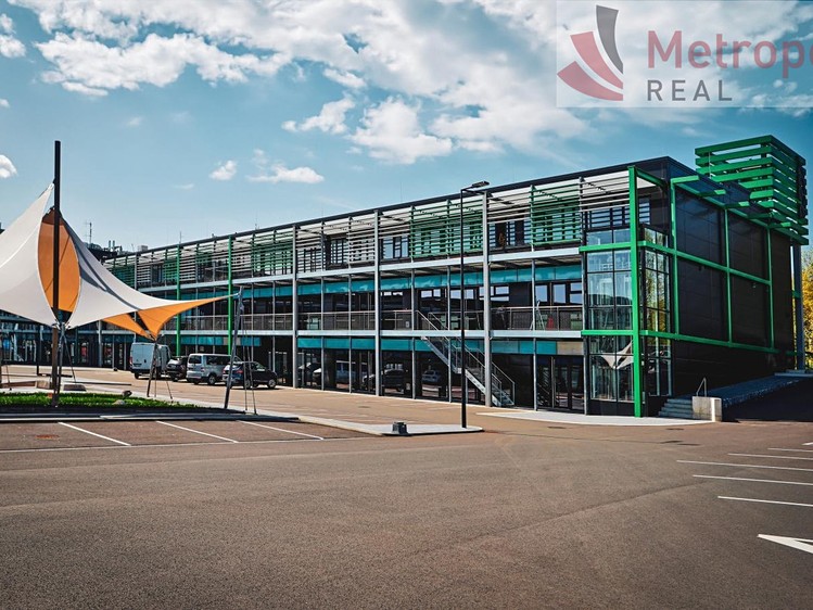 Pronájem obchodního prostoru 5 000 m² - foto 4