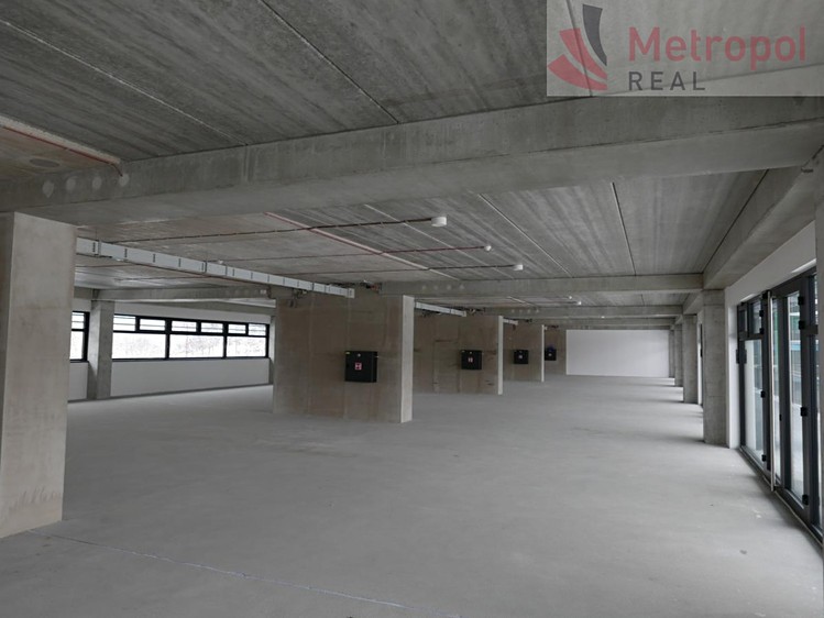 Pronájem obchodního prostoru 5 000 m² - foto 8