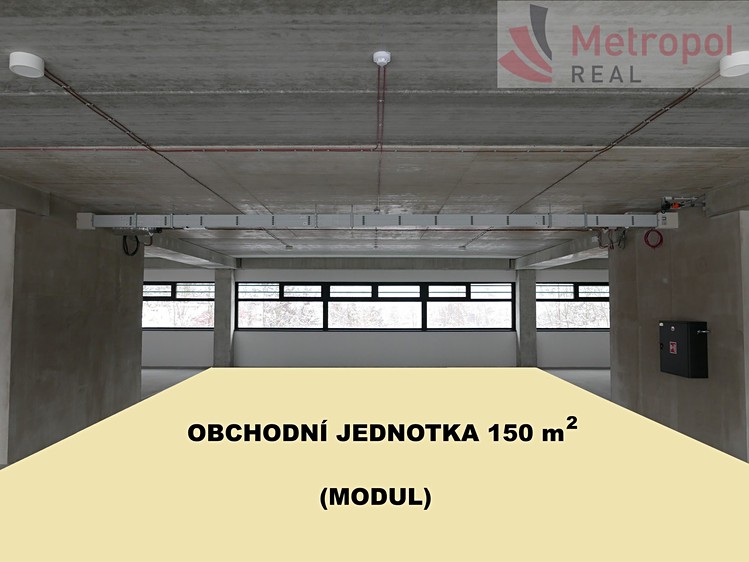 Pronájem obchodního prostoru 5 000 m² - foto 7