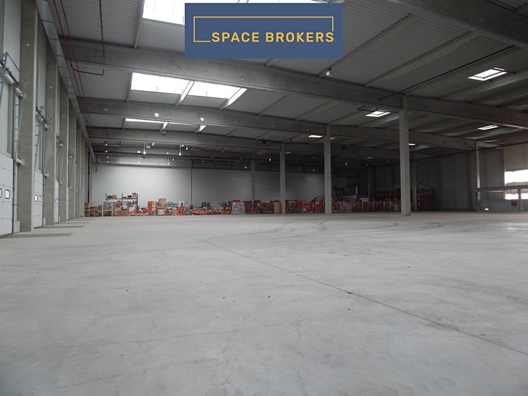 Pronájem skladového prostoru 4 839 m² - foto 5