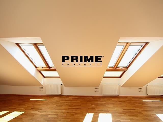 Pronájem kanceláře 168 m² - foto 5