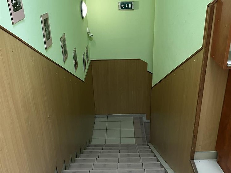 Pronájem obchodního prostoru 456 m² - foto 6