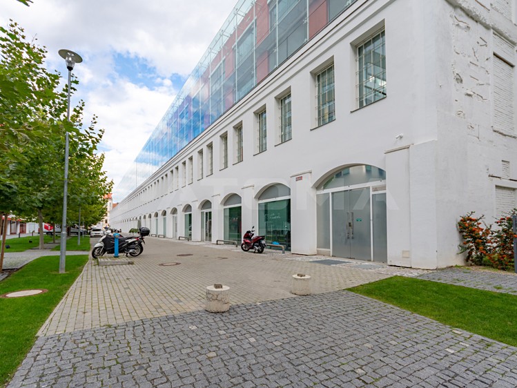 Pronájem kanceláře 546 m² - foto 1