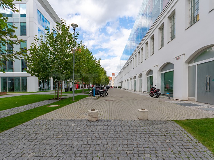 Pronájem kanceláře 546 m² - foto 4