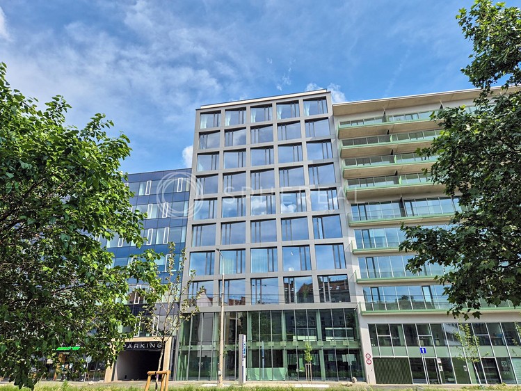 Pronájem kanceláře 200 m² - foto 1