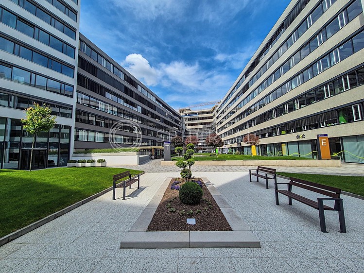 Pronájem kanceláře 200 m² - foto 6