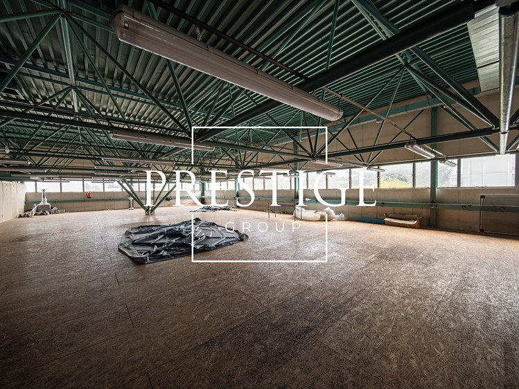 Pronájem obchodního prostoru 1 137 m² - foto 5