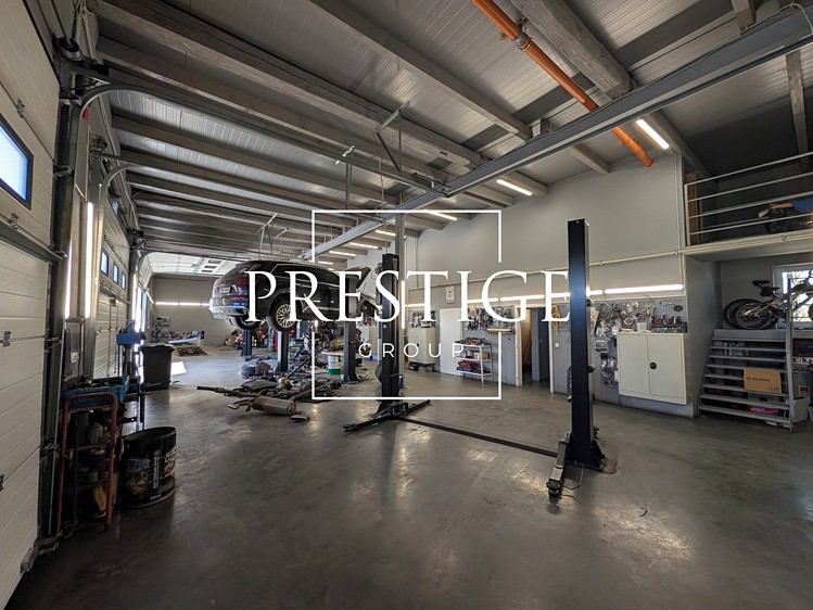 Pronájem obchodního prostoru 2 400 m² - foto 4