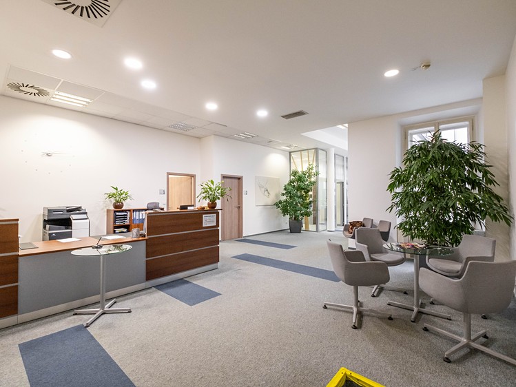 Pronájem kanceláře 300 m² - foto 1