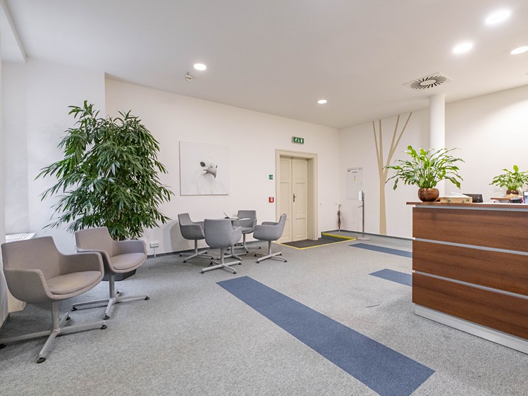 Pronájem kanceláře 300 m² - foto 4