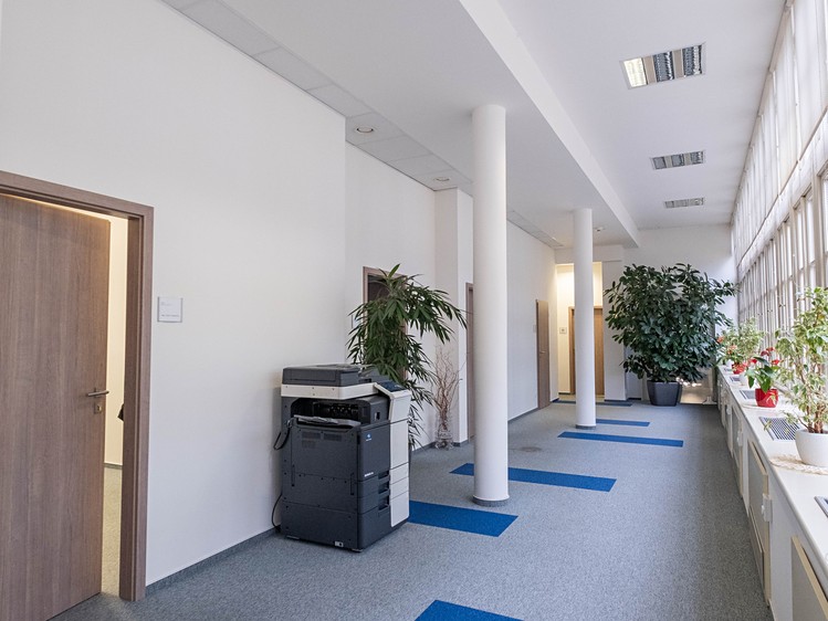 Pronájem kanceláře 300 m² - foto 6