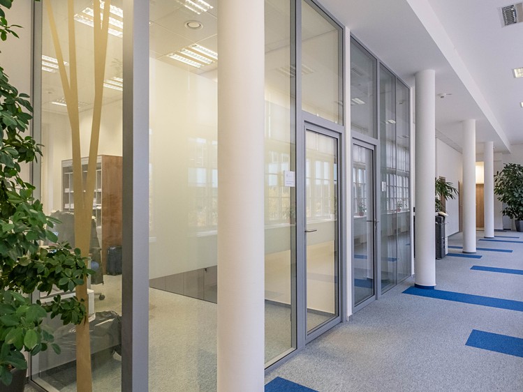 Pronájem kanceláře 300 m² - foto 5