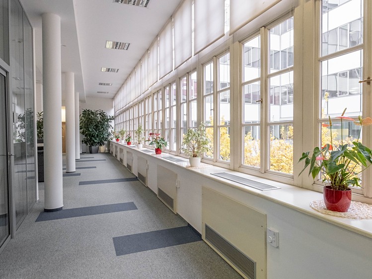 Pronájem kanceláře 300 m² - foto 7