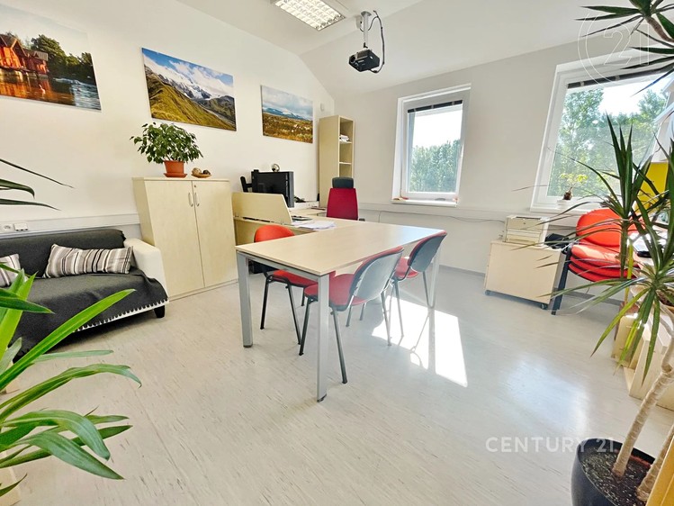 Pronájem kanceláře 144 m² - foto 4