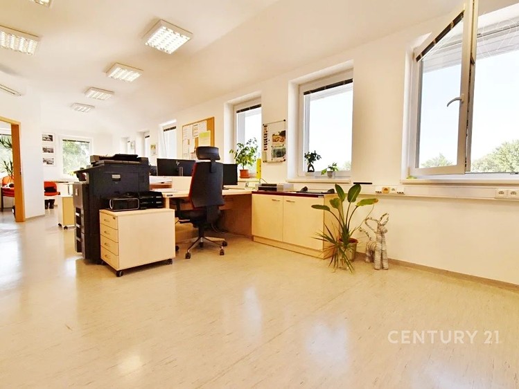 Pronájem kanceláře 144 m² - foto 5