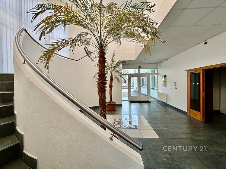 Pronájem kanceláře 153 m² - foto 1