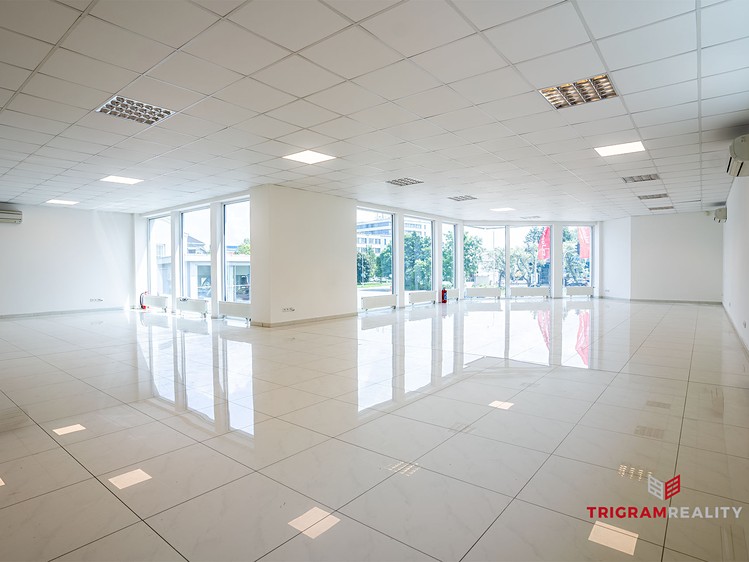 Pronájem komerční nemovitosti 300 m² - foto 2
