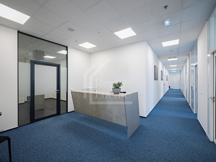 Pronájem kanceláře 330 m² - foto 3