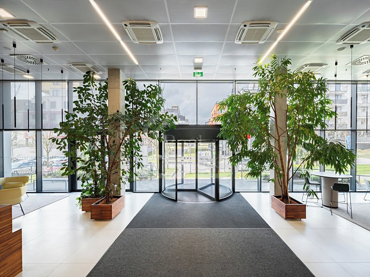 Pronájem kanceláře 330 m² - foto 2