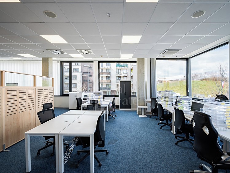 Pronájem kanceláře 330 m² - foto 5
