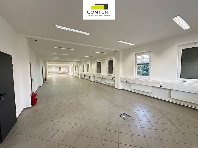 Pronájem obchodního prostoru 290 m² - foto 4