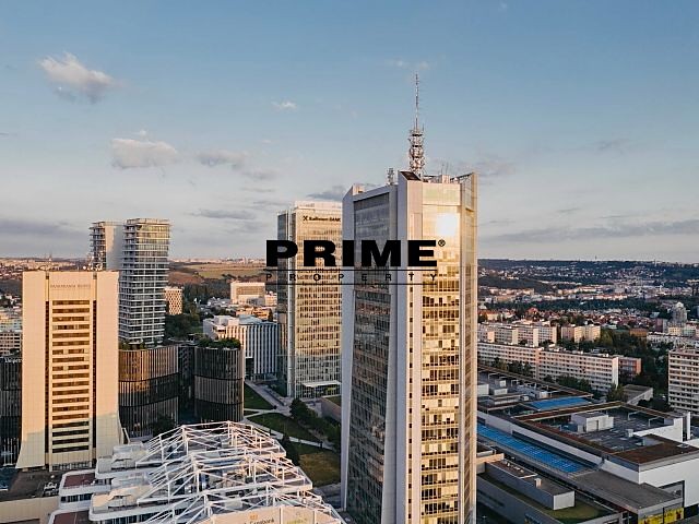 Pronájem kanceláře 35 m² - foto 5