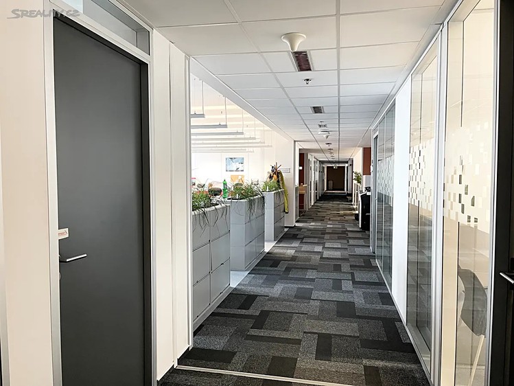 Pronájem kanceláře 300 m² - foto 7