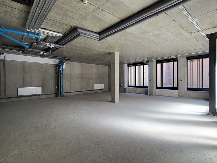 Pronájem obchodního prostoru 147 m² - foto 5
