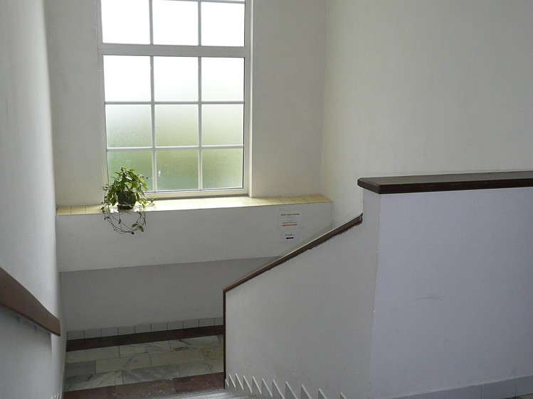 Pronájem obchodního prostoru 158 m² - foto 3