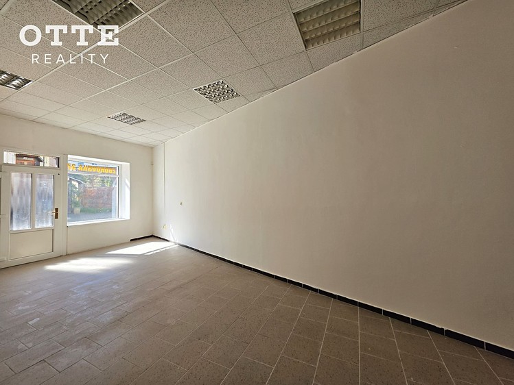 Pronájem obchodního prostoru 53 m² - foto 7