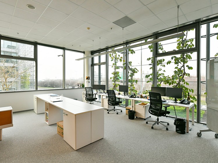 Pronájem kanceláře 1 542 m² - foto 8