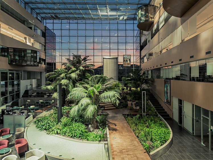 Pronájem kanceláře 610 m² - foto 4