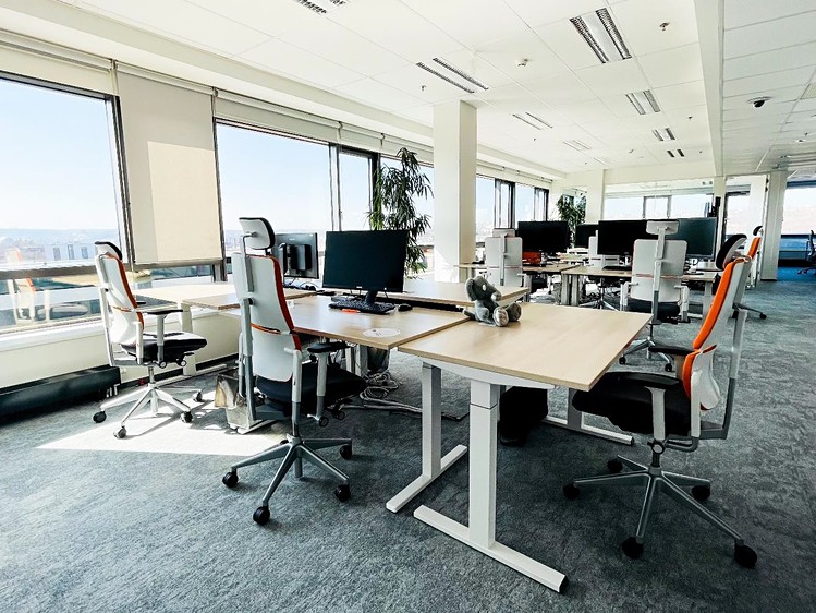 Pronájem kanceláře 740 m² - foto 4