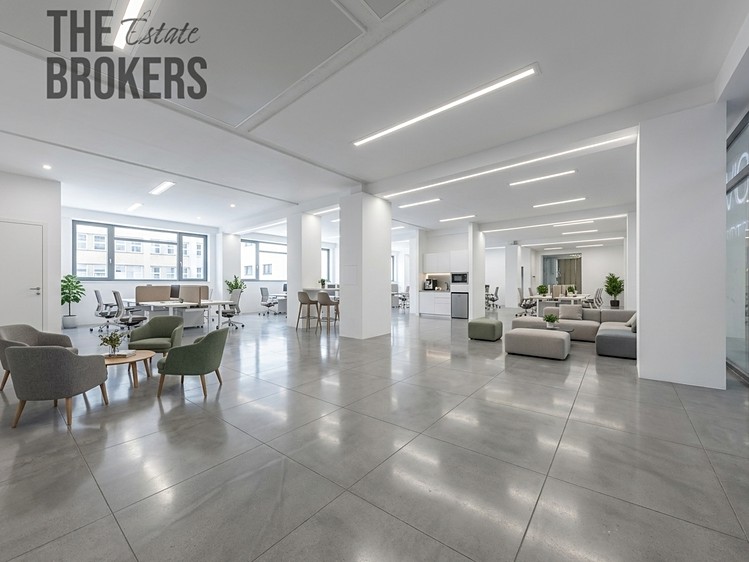 Pronájem kanceláře 263 m² - foto 6