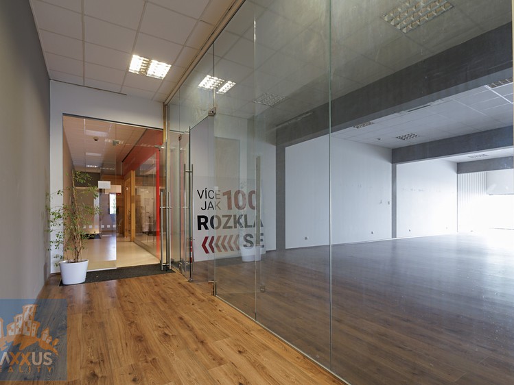 Pronájem obchodního prostoru 267 m² - foto 7