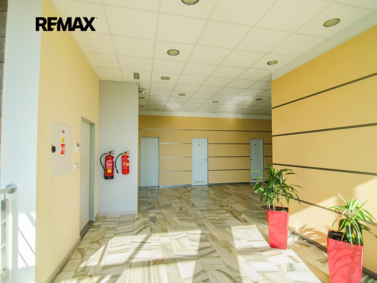 Pronájem kanceláře 34 m² - foto 6