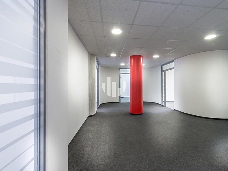 Pronájem kanceláře 200 m² - foto 5