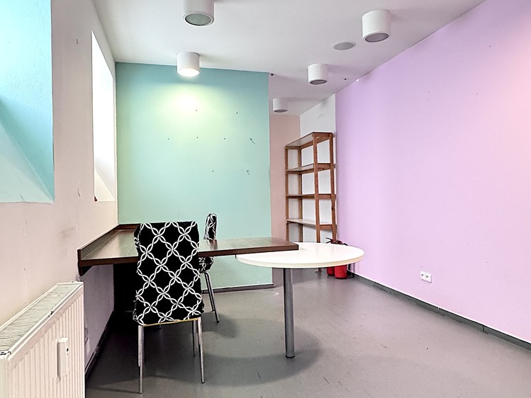Pronájem obchodního prostoru 270 m² - foto 5