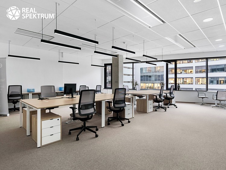 Pronájem kanceláře 240 m² - foto 2