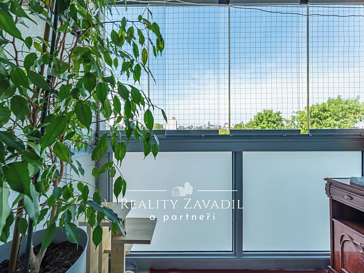 Prodej bytu 3+kk 60 m² (Jednopodlažní) - foto 5